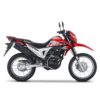 HONDA XR 190L 2019-2025 Graphics Template