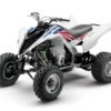 YAMAHA RAPTOR 700 2013-2024 Graphics Template