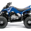 YAMAHA RAPTOR 90  2009-2015 Graphics Template