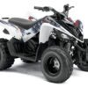 YAMAHA RAPTOR 90  2009-2015 Graphics Template