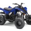 YAMAHA RAPTOR 90 2016-2024 Graphics Template